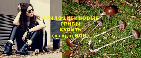 дживик Куйбышев