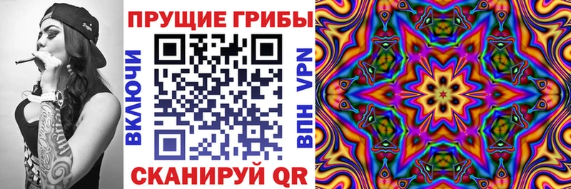 Галлюциногенные грибы Psilocybe  Купить где  Вичуга 